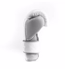 EVERLAST GNTIA PuGAXIAS dermatina ELITE powerlock 2- white